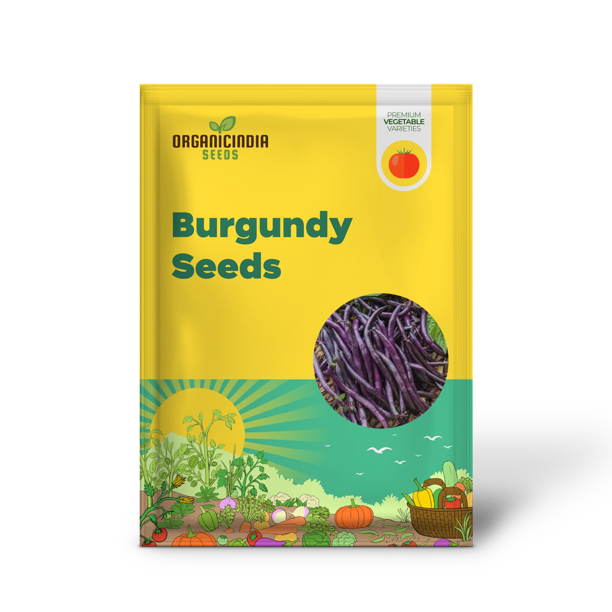 Royal Burgundy Seedling, Easy-to-Grow Garden Plant from Seeds