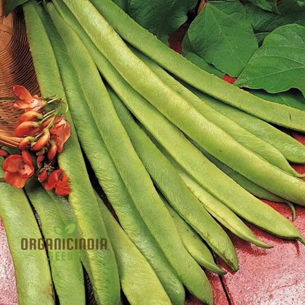 Runner Bean â€™Scarlet Emperor Seeds - Vigorous Vines For Abundant Harvests Vegetable
