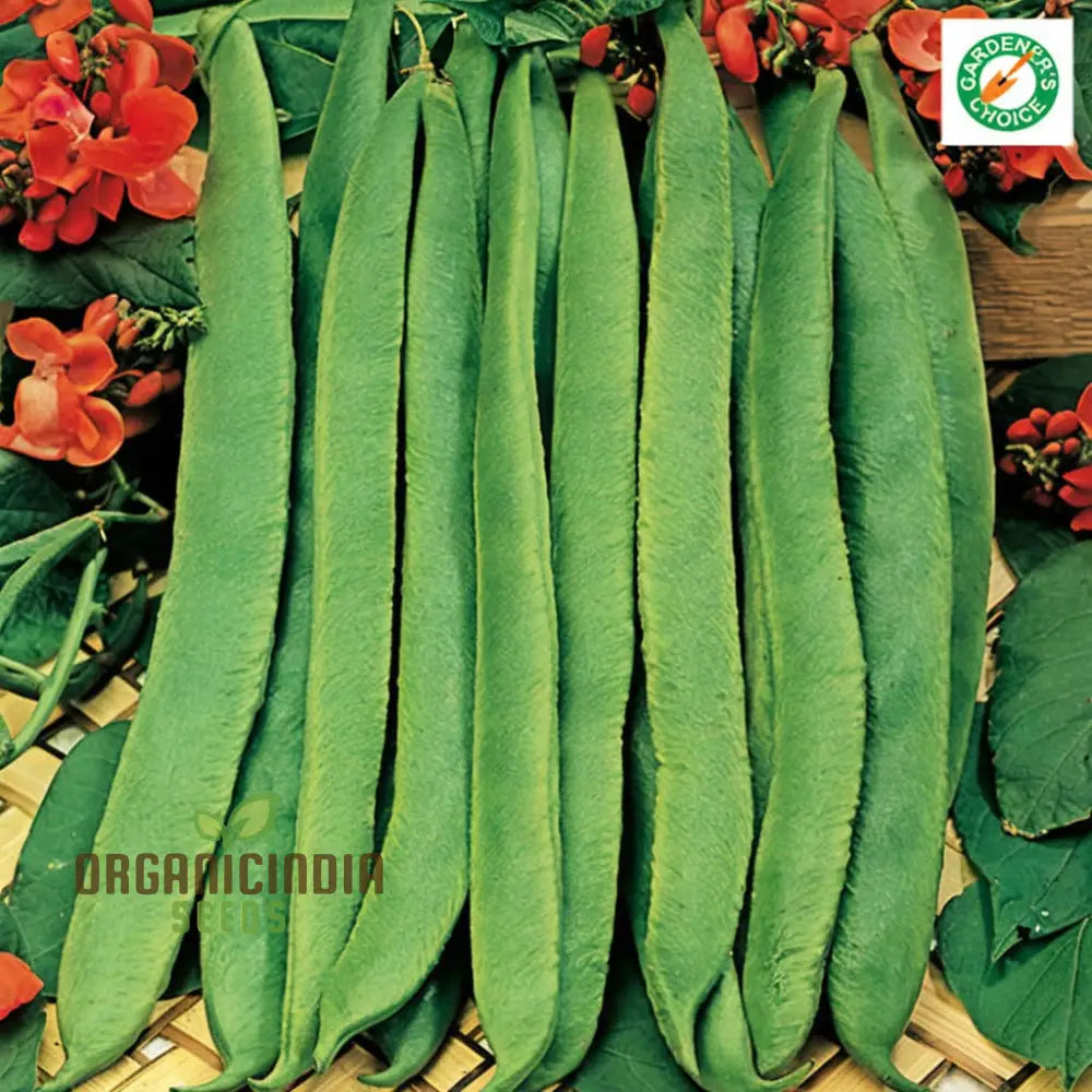 Runner Bean â€™Scarlet Emperor Seeds - Vigorous Vines For Abundant Harvests Vegetable