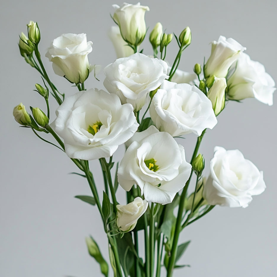 Lisianthus Echo White Seeds, Classic Pure White Blooms for Elegant Gardens & Bouquets
