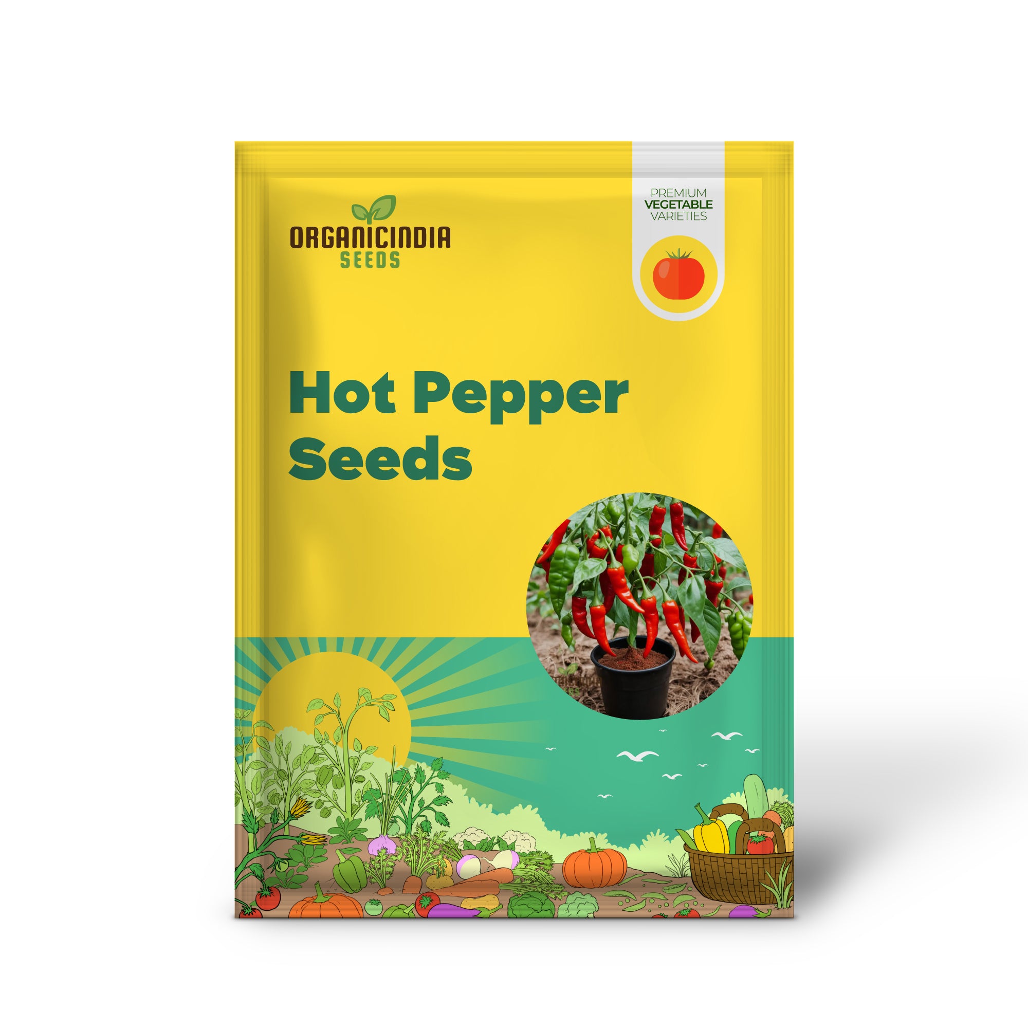 Hot Pepper Seedling Growing from Red Scotch Bonnet Seeds