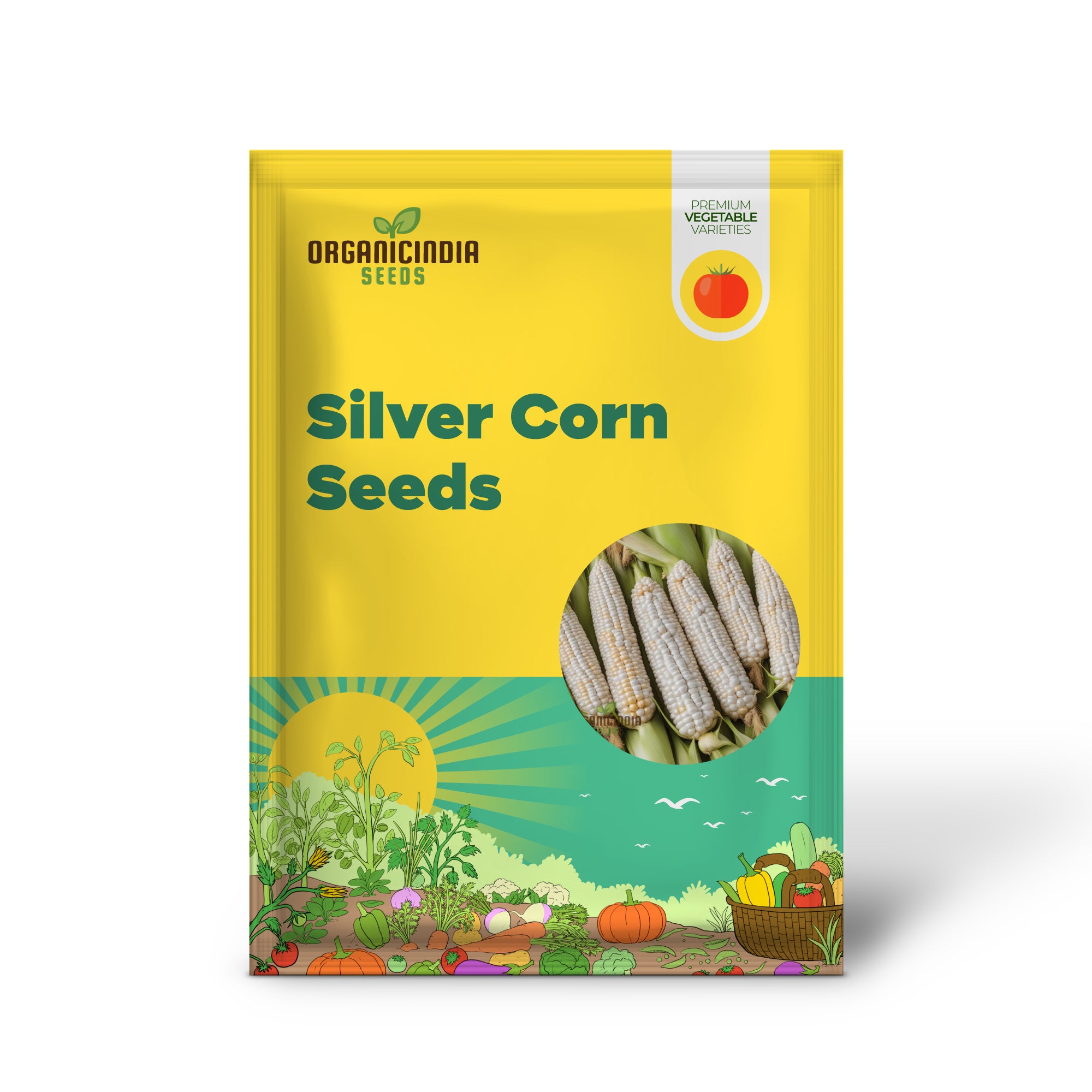 Silver Corn Seedlings Growing in Garden, Non-GMO Corn Seeds