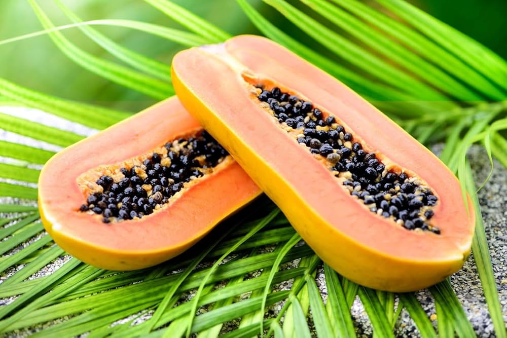 Sliced Papaya Melon – Sweet Orange Flesh Melon Variety