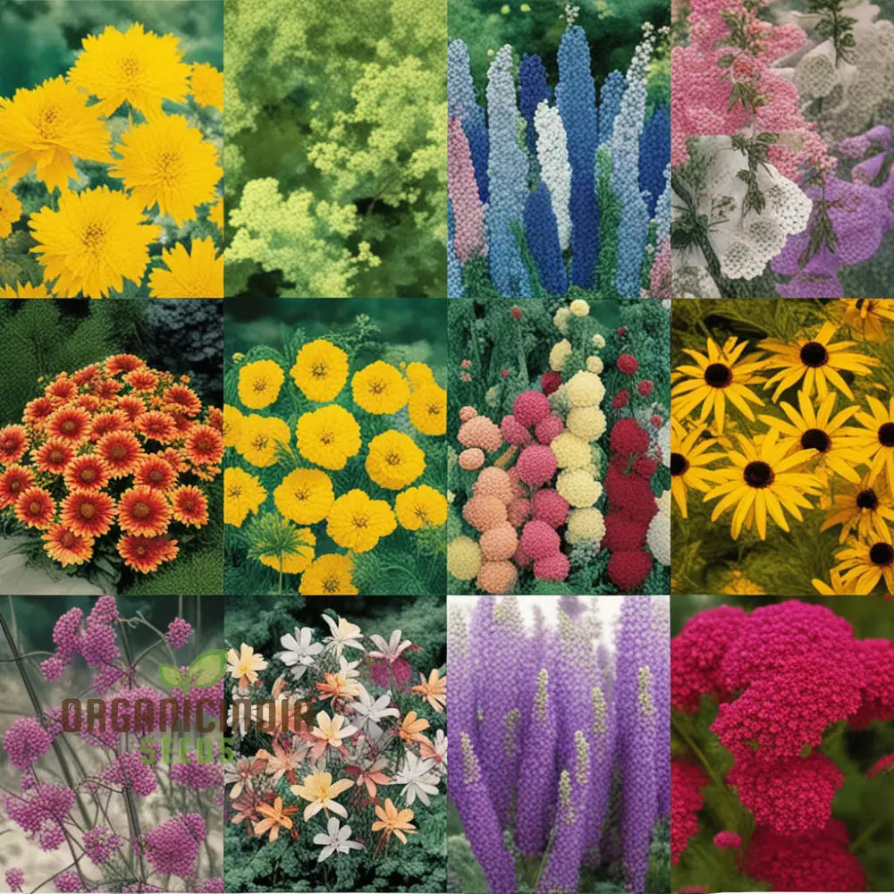 Spring Bulbs Mixed Flowering Collection Cultivate A Hardy Perennial Cottage Garden Full Of Colorful