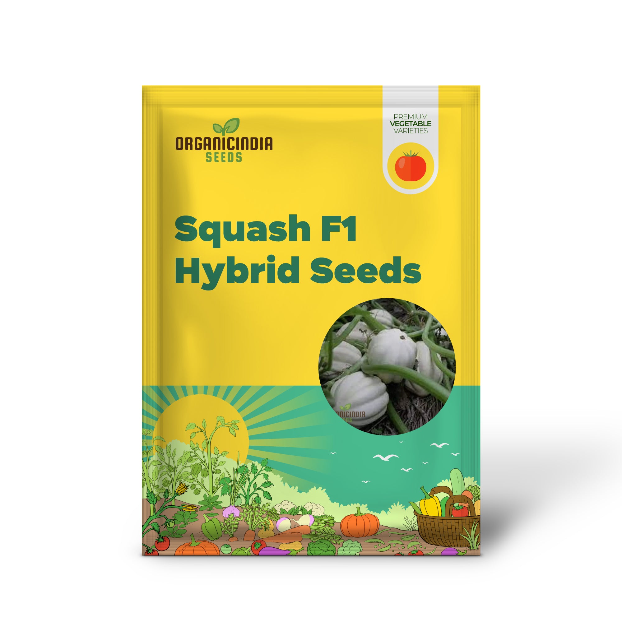 Mashed Potatoes Squash Seedlings from F1 Hybrid Seeds, Easy-to-Grow Garden Variety
