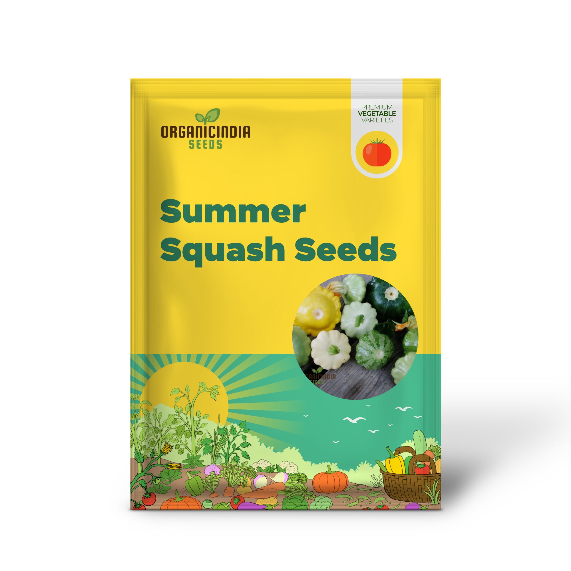 Scallop Blend Summer Squash Seedling for Easy Home Gardening