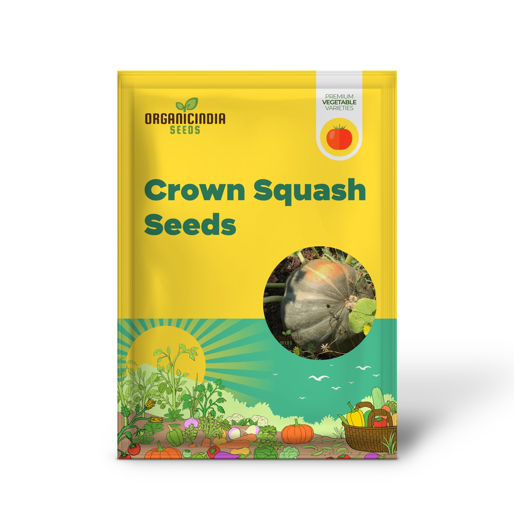 Strawberry Crown Squash Seedlings Growing from Seeds