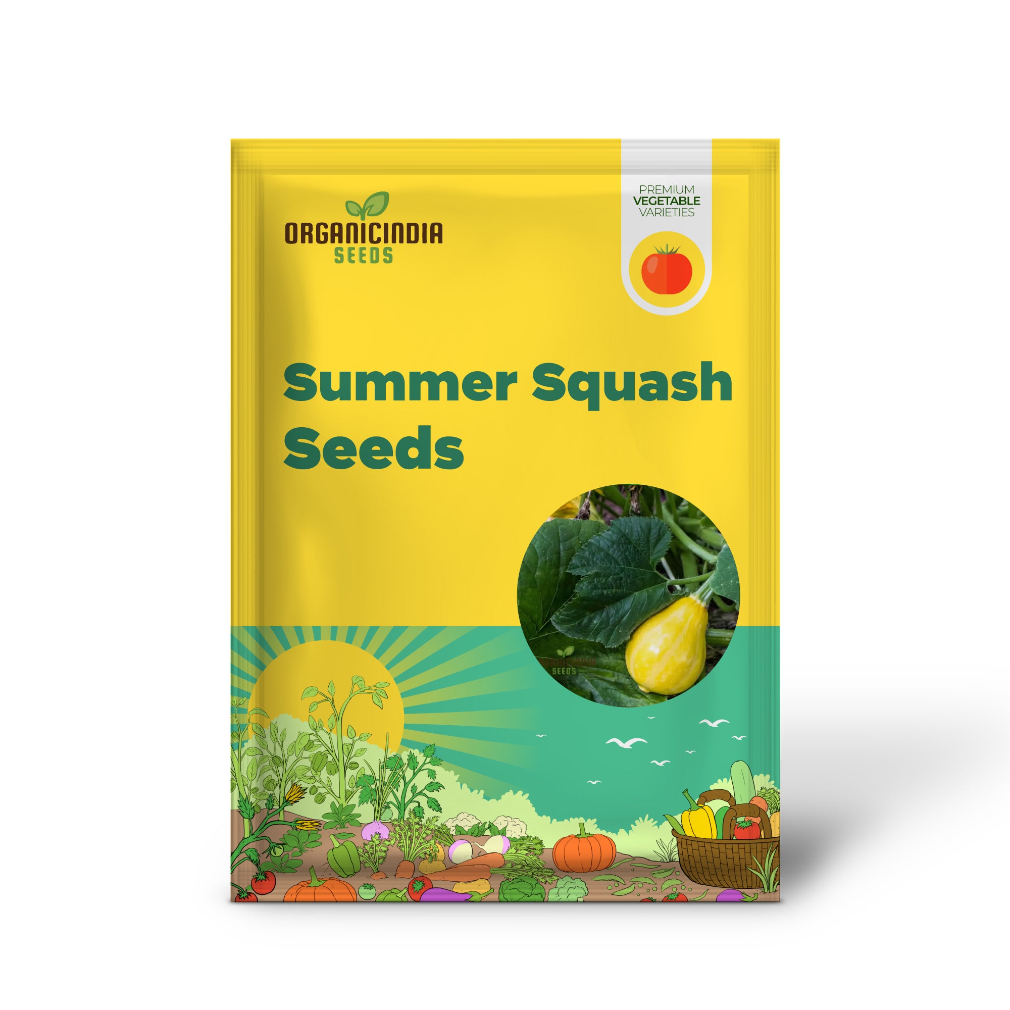 Lemon Summer Squash Seedlings Growing from Seeds, Home Garden Vegetable