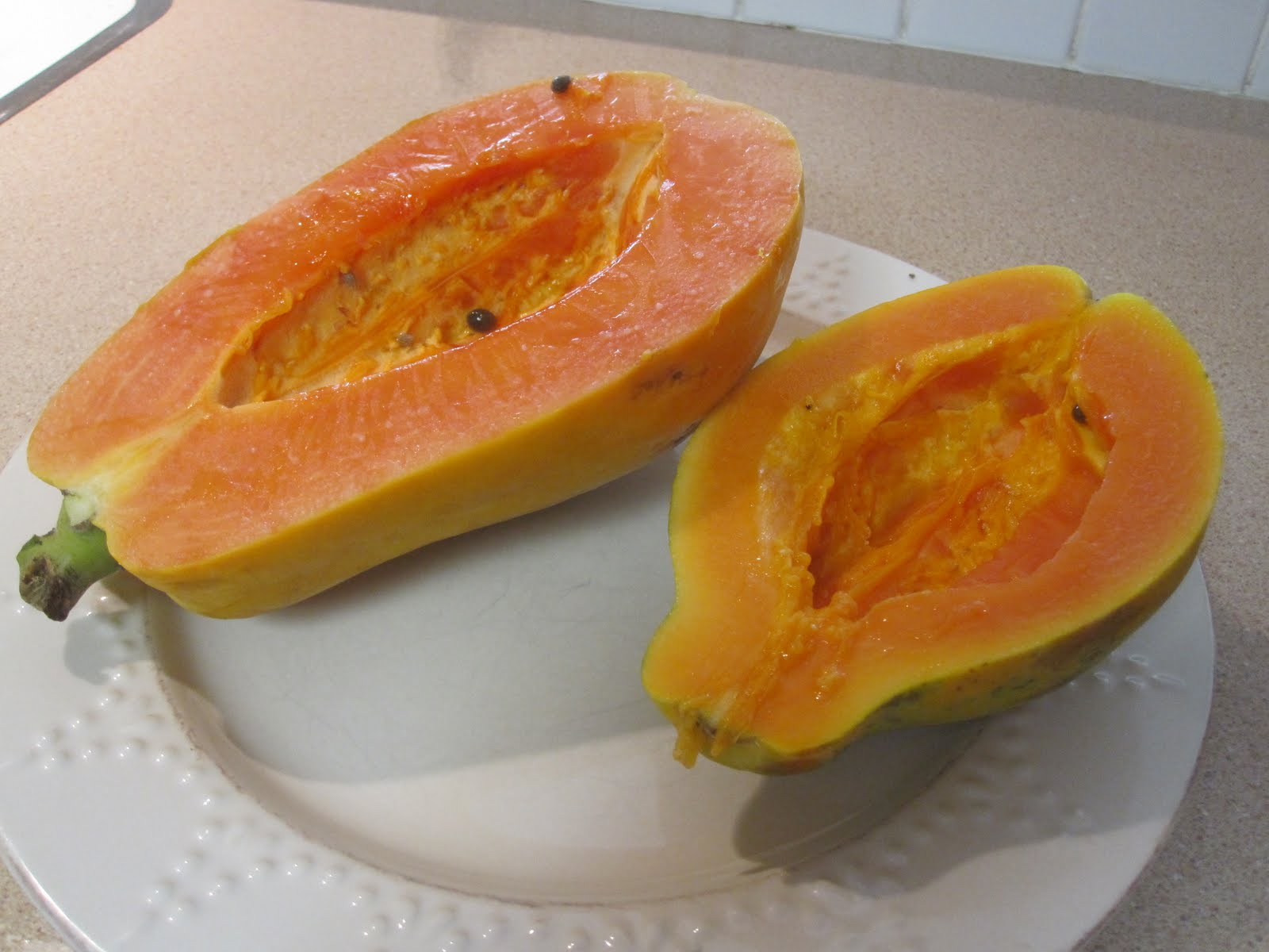 Sunrise Papaya seedlings growing from premium Non-GMO seeds