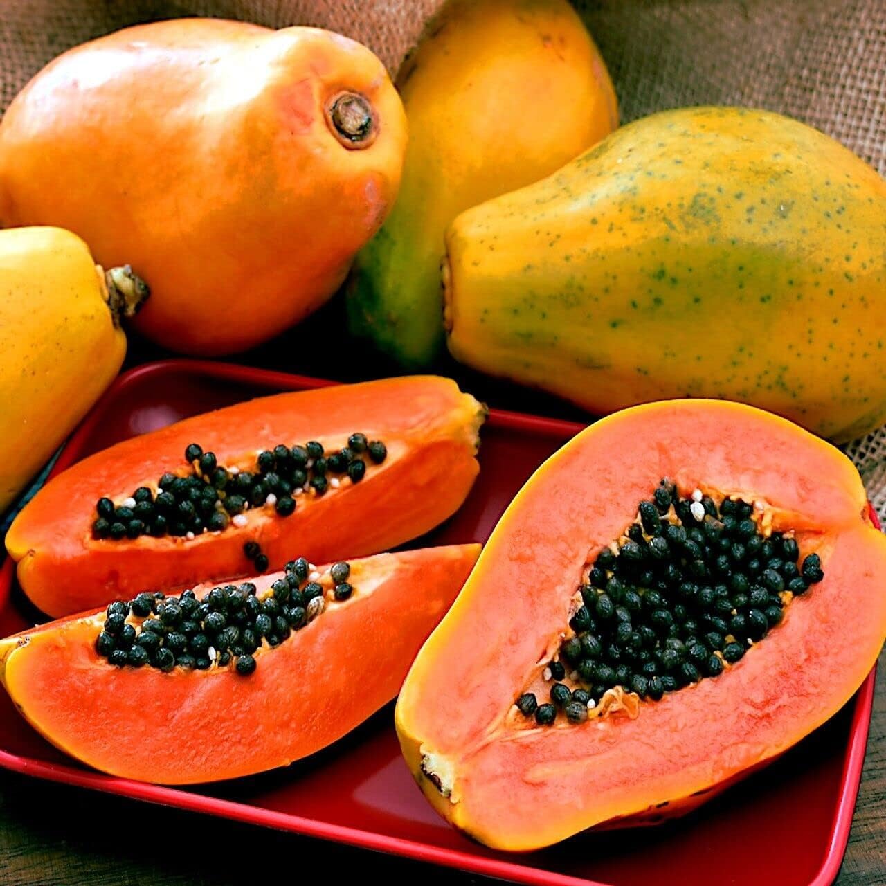 Sunrise Papaya seeds for planting Non-GMO tropical fruit variety