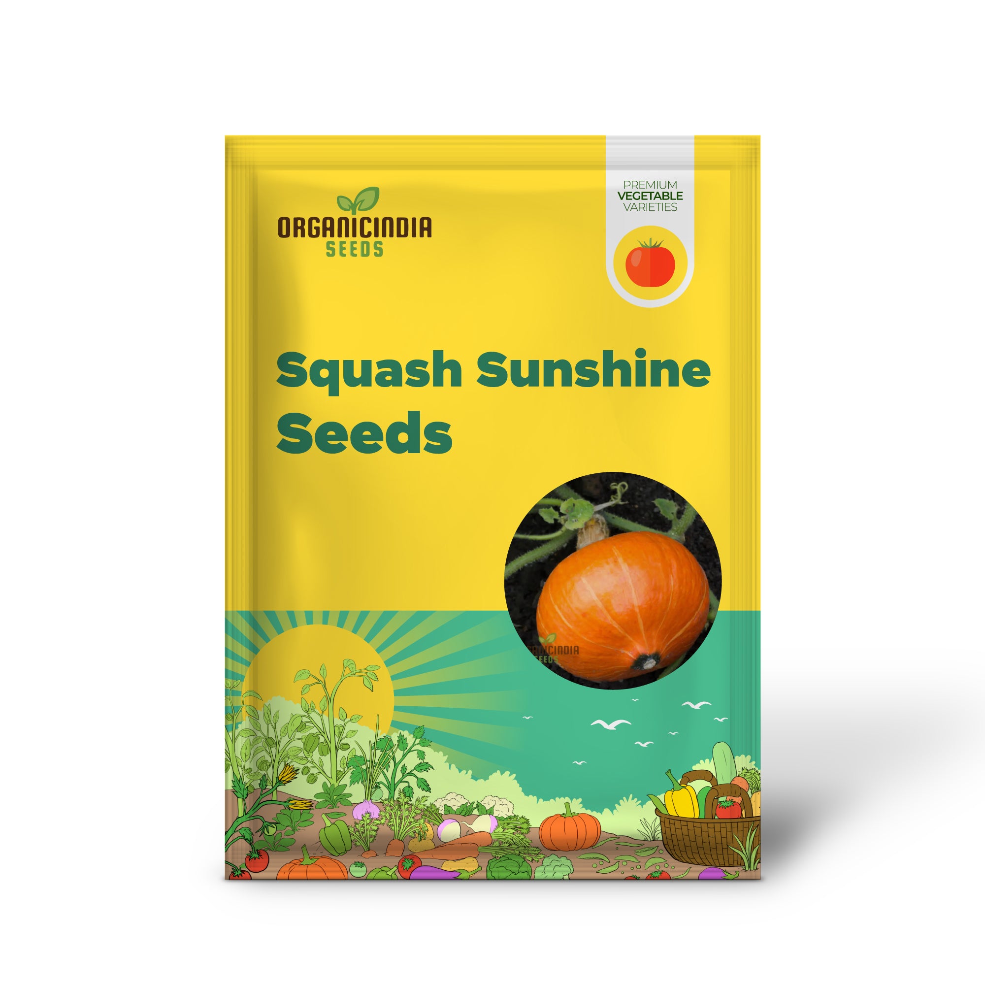Sunshine Winter Squash Seedlings Growing, Easy-to-Grow Squash Seeds