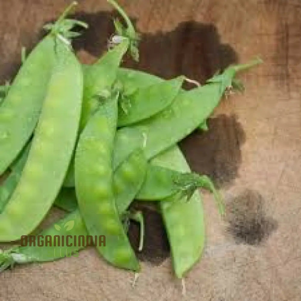 Sweet Horizon Mange Tout Pea Seeds for Home Garden, Heirloom Pea Variety