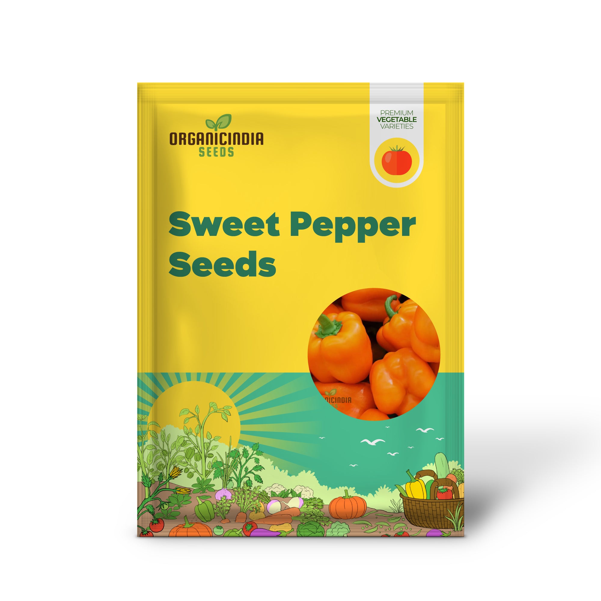 Bright Star Sweet Pepper Seedling, Easy-to-Grow Vegetable Plant