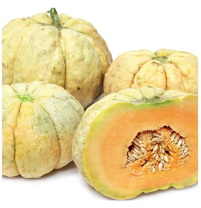 Sweet summer melon seeds Oka variety