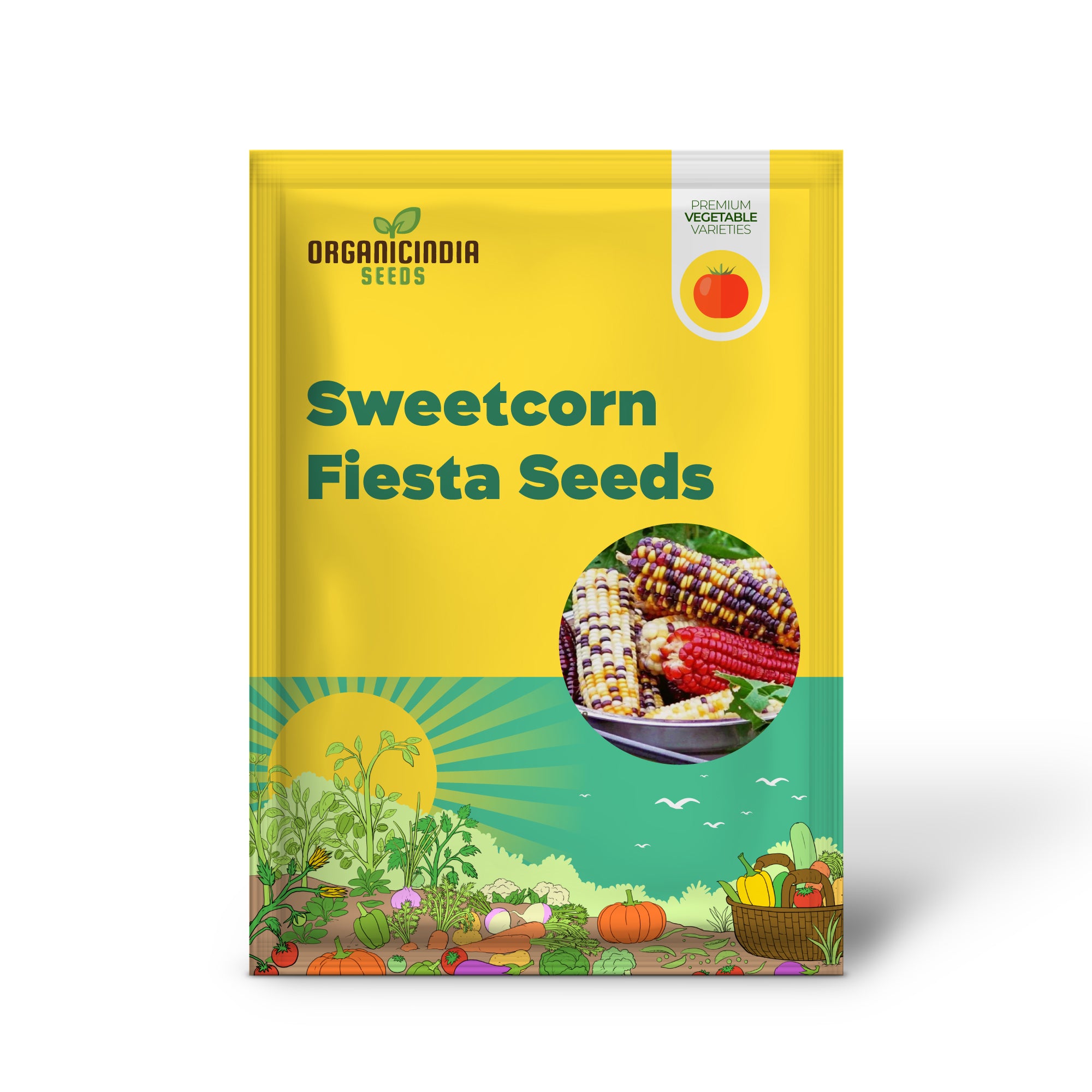 Fiesta Sweetcorn Seedlings Growing in Garden, Tender and Sweet Kernels