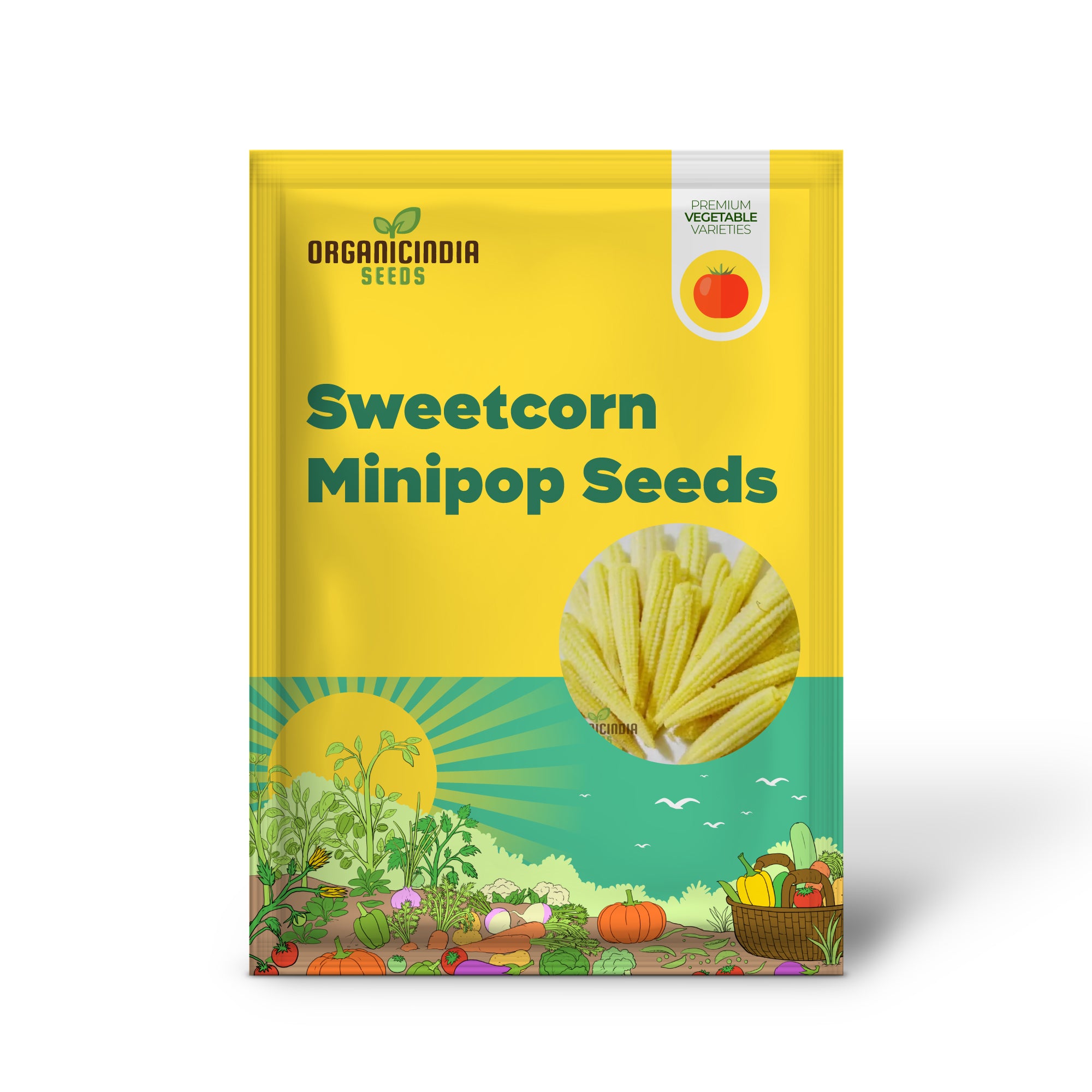 Minipop Sweetcorn Seedlings Growing from Seeds, Compact Garden Variety