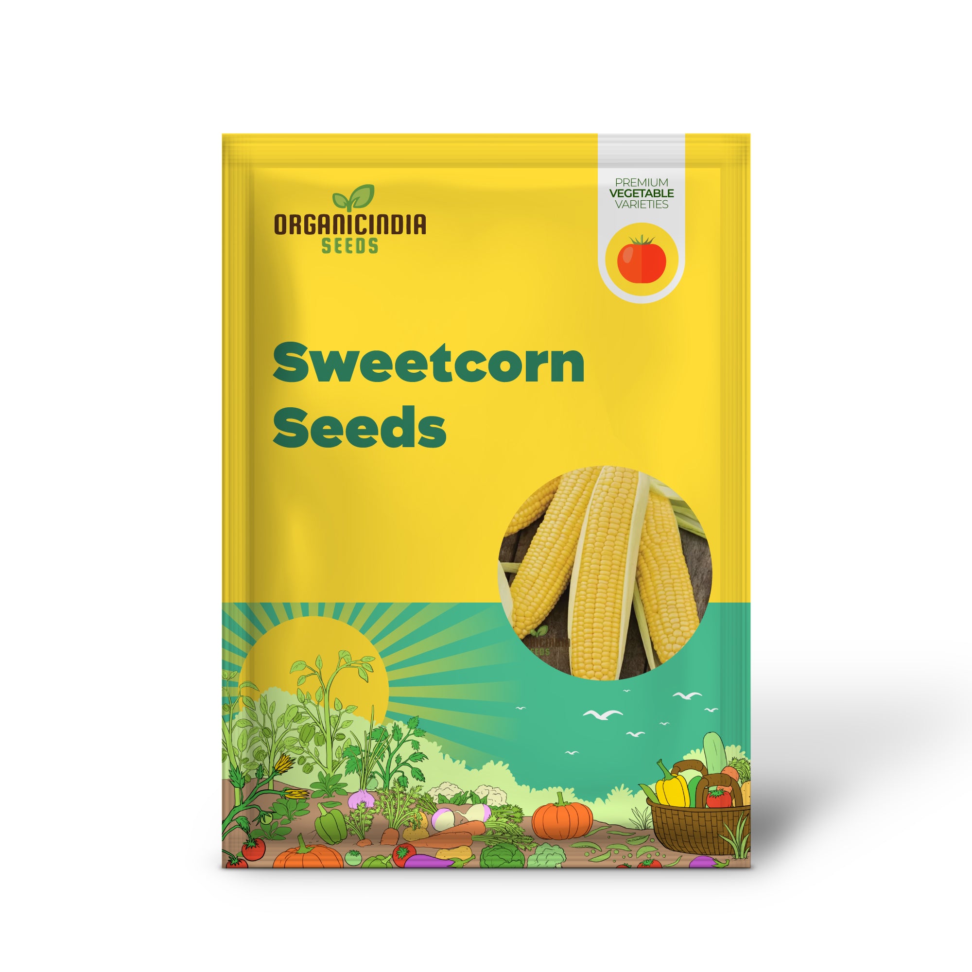 Swift Sweetcorn Seedlings Growing from Seeds, Home Garden Vegetable
