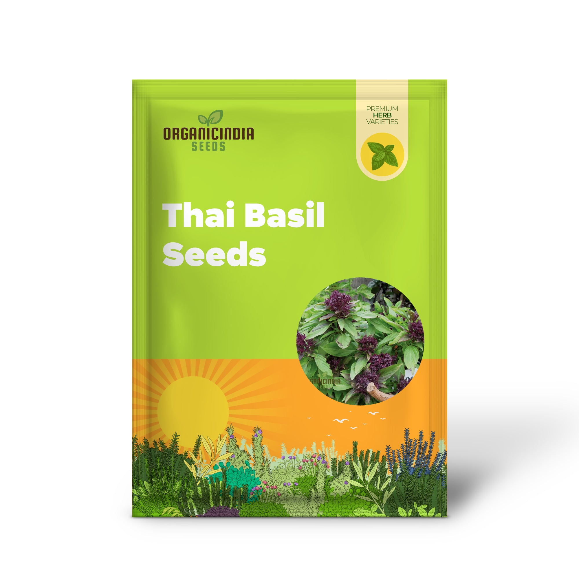 Close-up of Thai Basil Seeds – Fresh Aromatic Basil for Gardening
