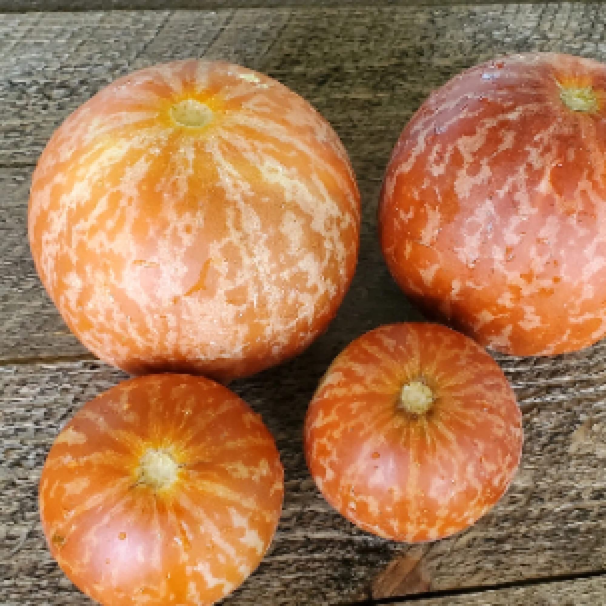 Premium Tigger Tiger Melon seeds for planting