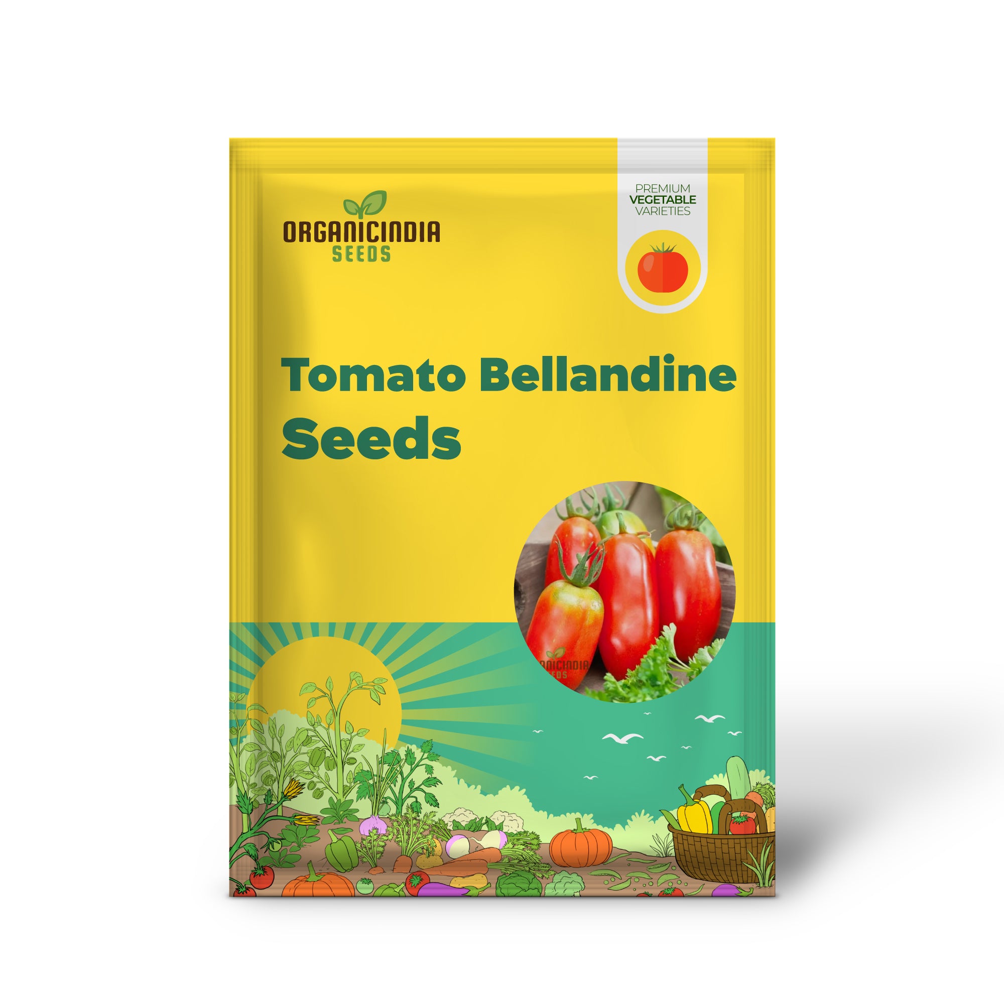 Bellandine Tomato Seedling Growing in Garden, Easy-to-Grow Vegetable Seeds