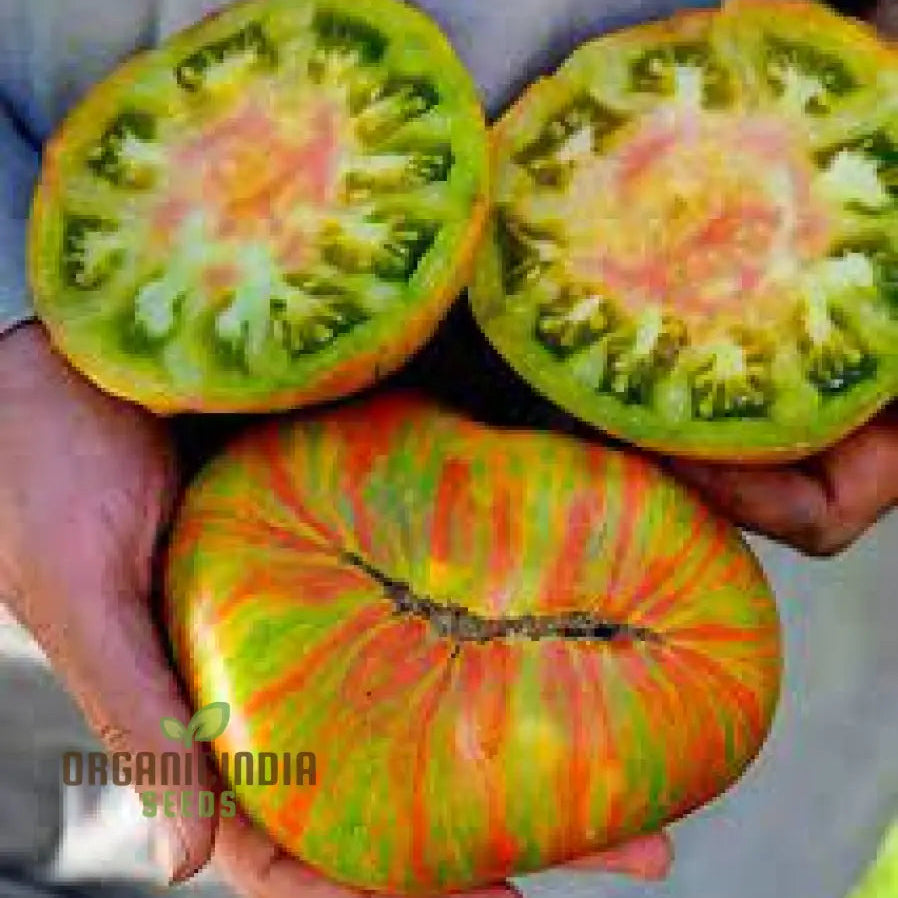 Tomato Berkley Tie Dye Seeds For Your Garden | Organic Gardening