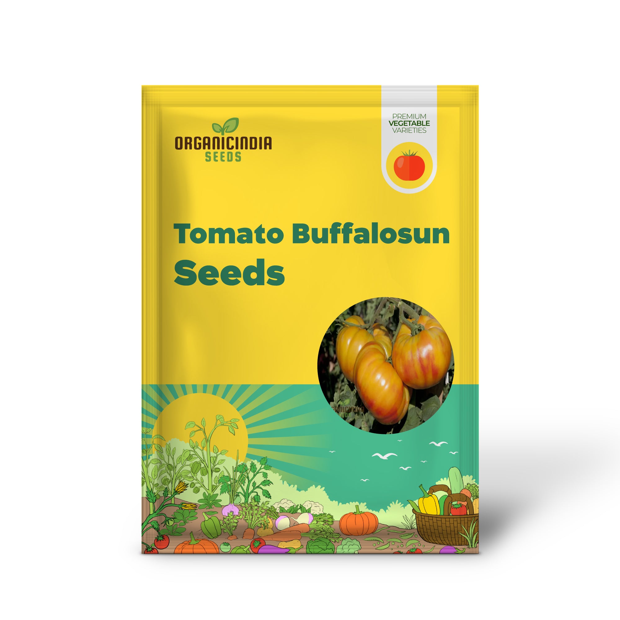 Buffalosun Tomato Seedlings Growing from Seeds, High Yield Tomato Variety