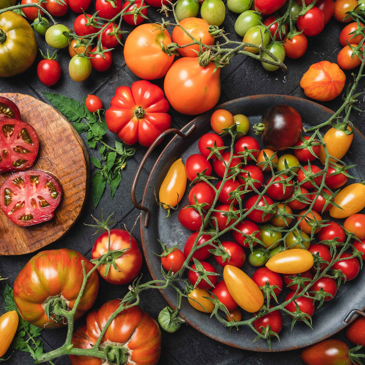 Culinary Blend Tomato Seeds, Premium Quality for Gardening Seeds for Flavorful Harvest