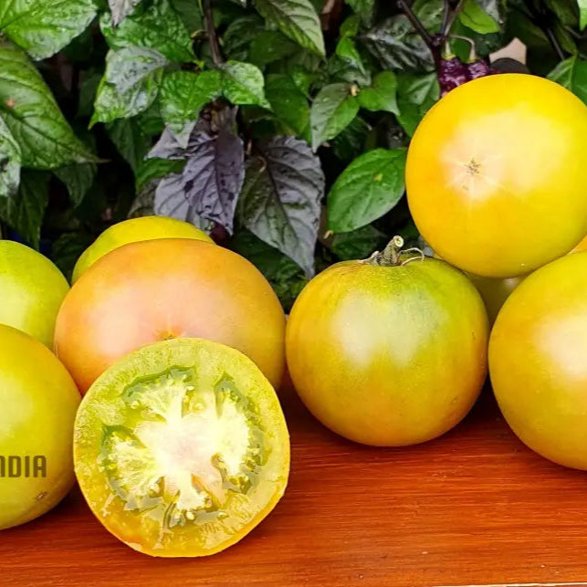 Dwarf Beryl Beauty Tomato Seeds for Gardening, Compact Tomato Variety Seeds