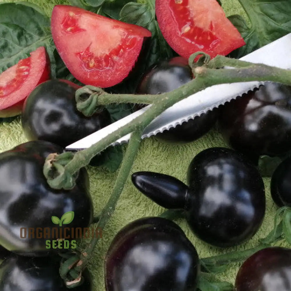 Eight Ball Tomato Seeds for Home Garden, Easy-to-Grow Vegetable Seeds