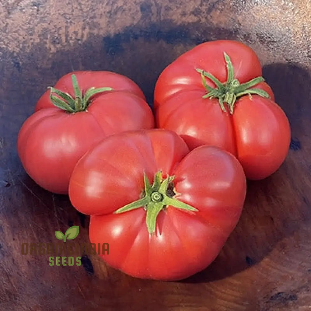 Tomato Hendersonâ€™s Winsall Seeds - Premium Quality For Expert Gardening