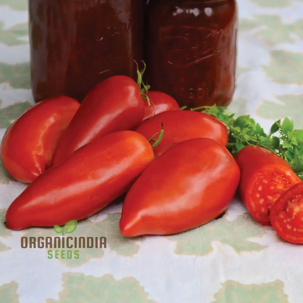 Jersey Devil Tomato Plant from Seeds, High-Yield Gardening Variety