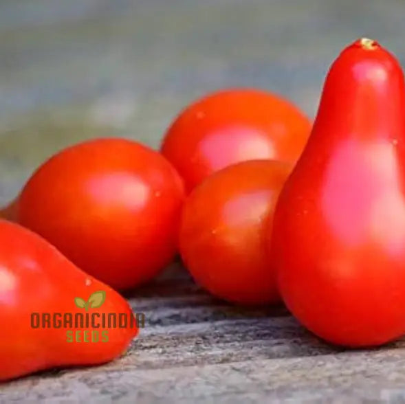 Tomato Pear Fruit Seeds Planting - 100 Pcs