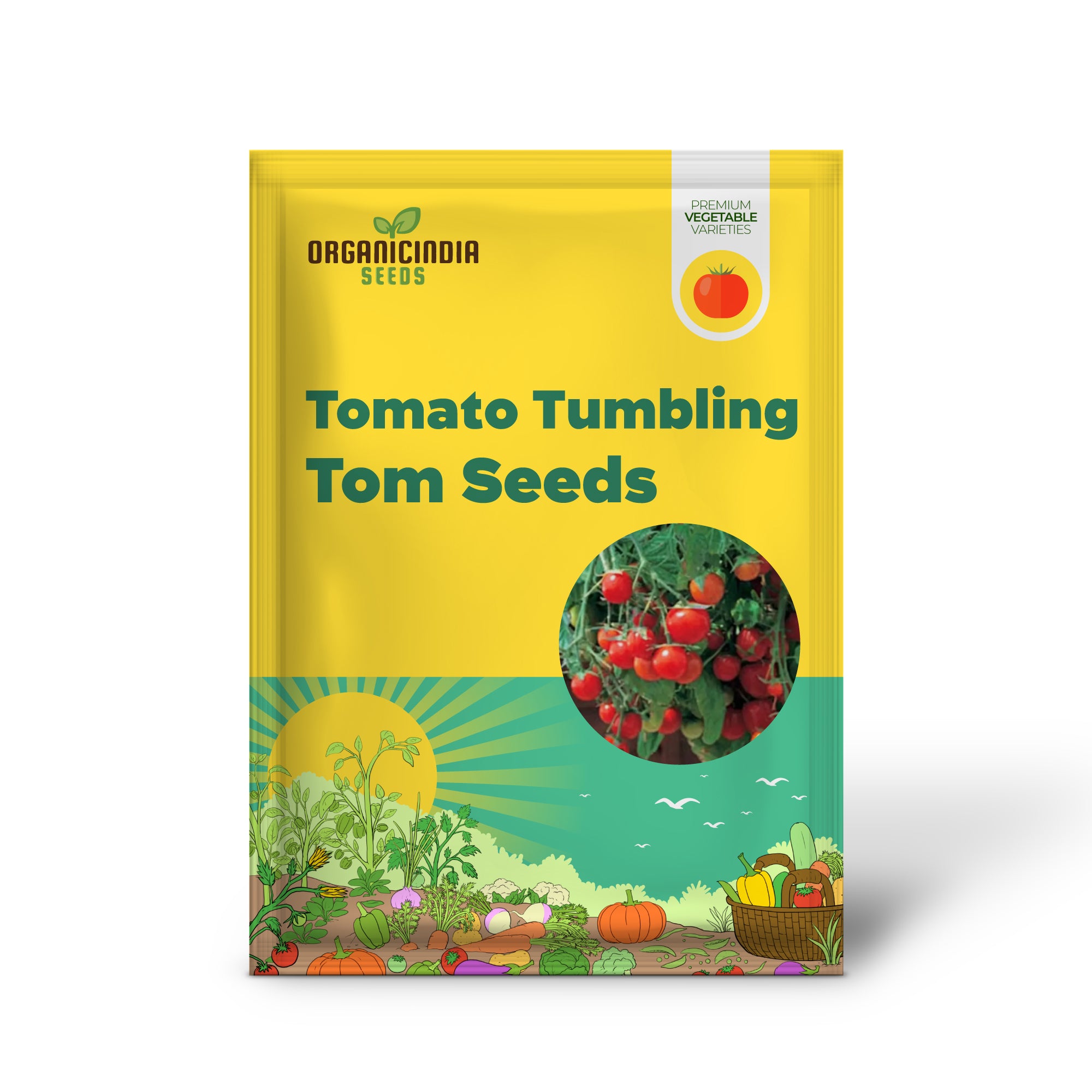 Tumbling Tom Red Tomato Seedlings Growing Indoors, Compact Cherry Variety