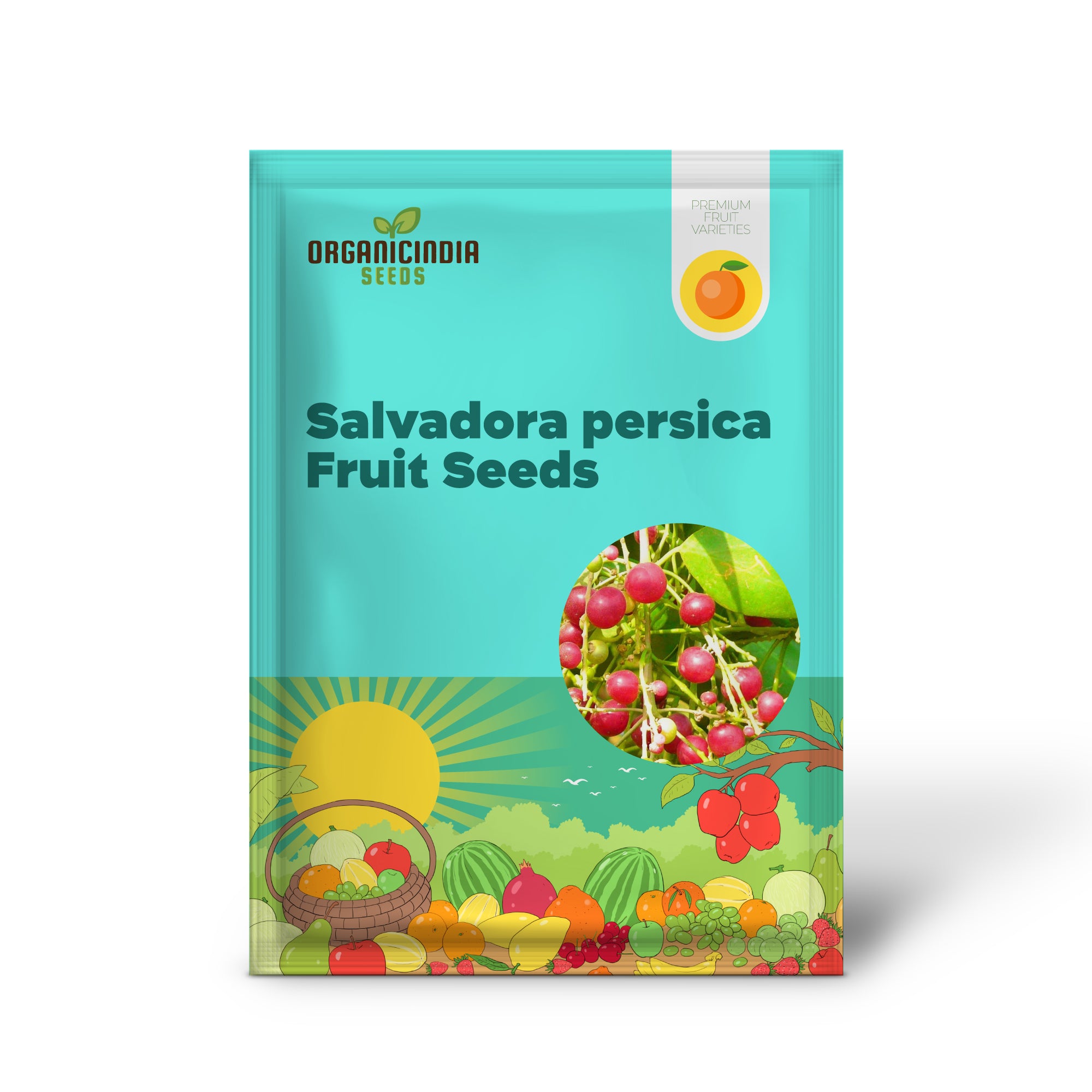 Toothbrush Tree Seeds (Salvadora Persica) for Home Gardening