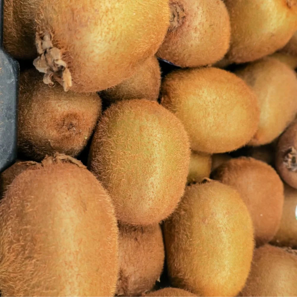 Tropical kiwi vine seeds for container gardening