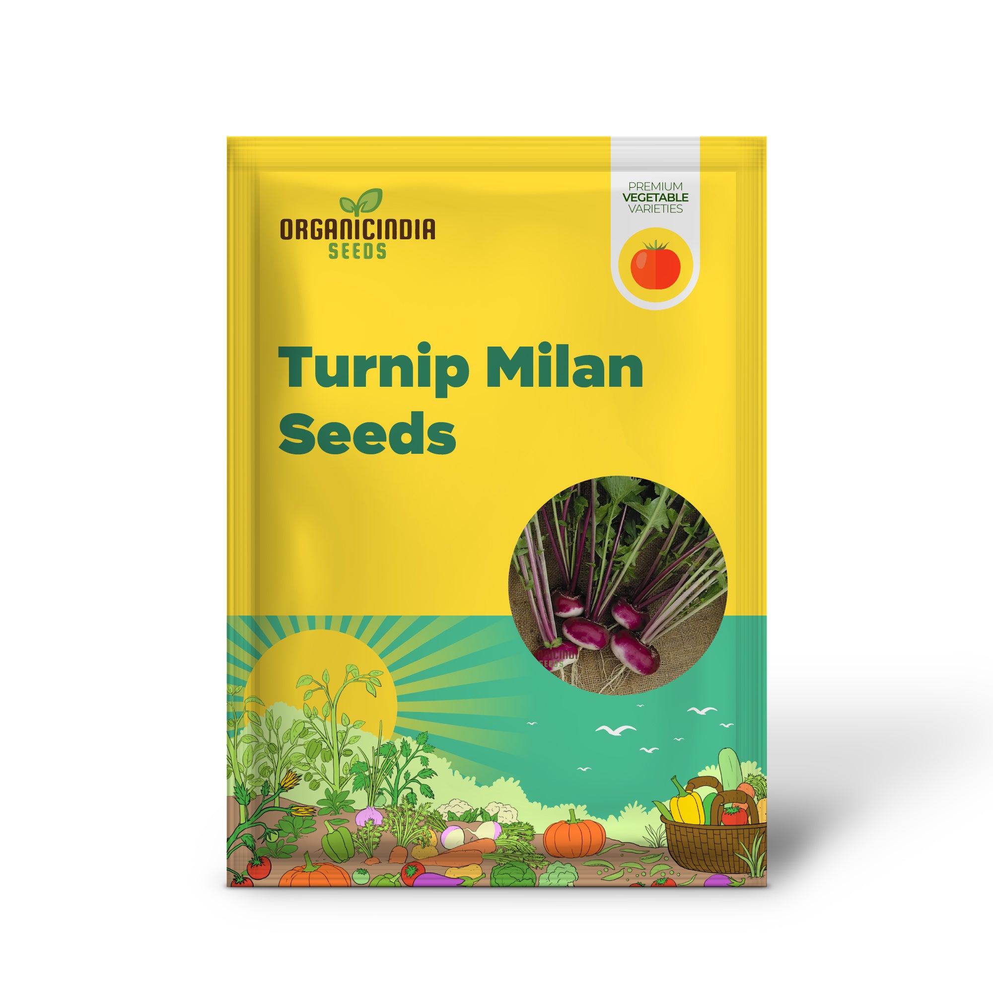 Milan Purple Top Turnip Seedling Growing in Garden, Easy-to-Grow Vegetable Seeds