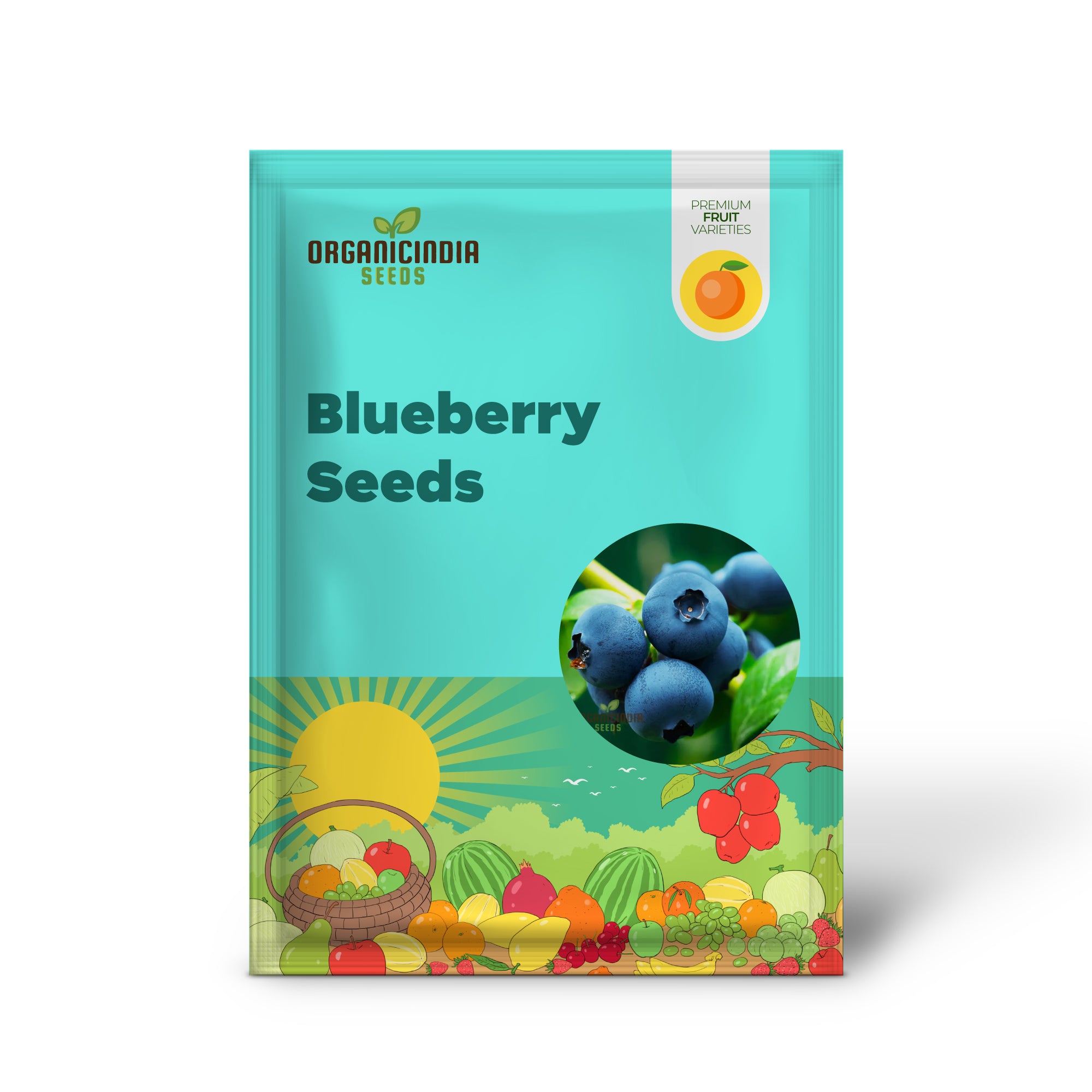 Vaccinium corymbosum Blueberry Seeds for Fruit Gardening