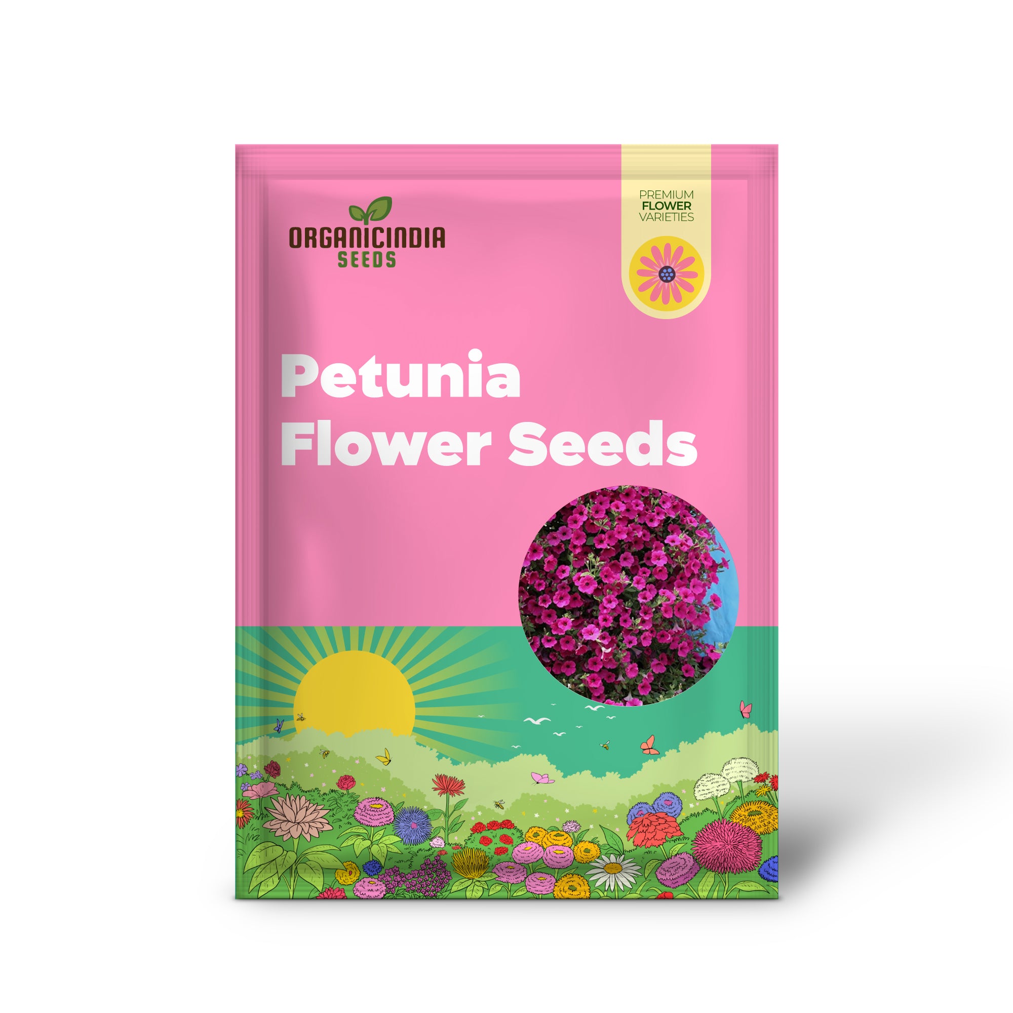 Velvet purple petunia flower seeds for gardening and planting