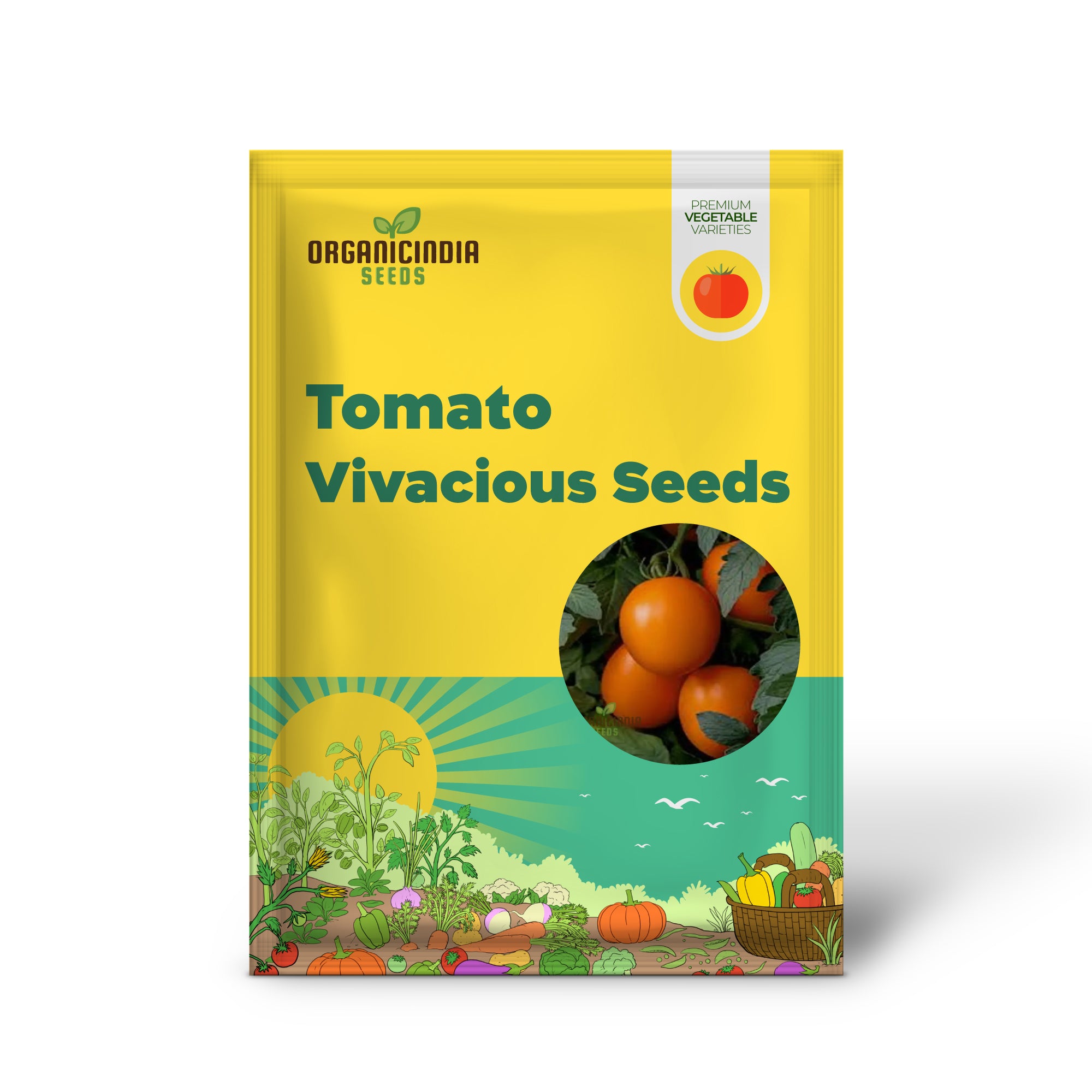 Vivacious Tomato Seedling from Seeds, Easy-to-Grow Tomato Plant