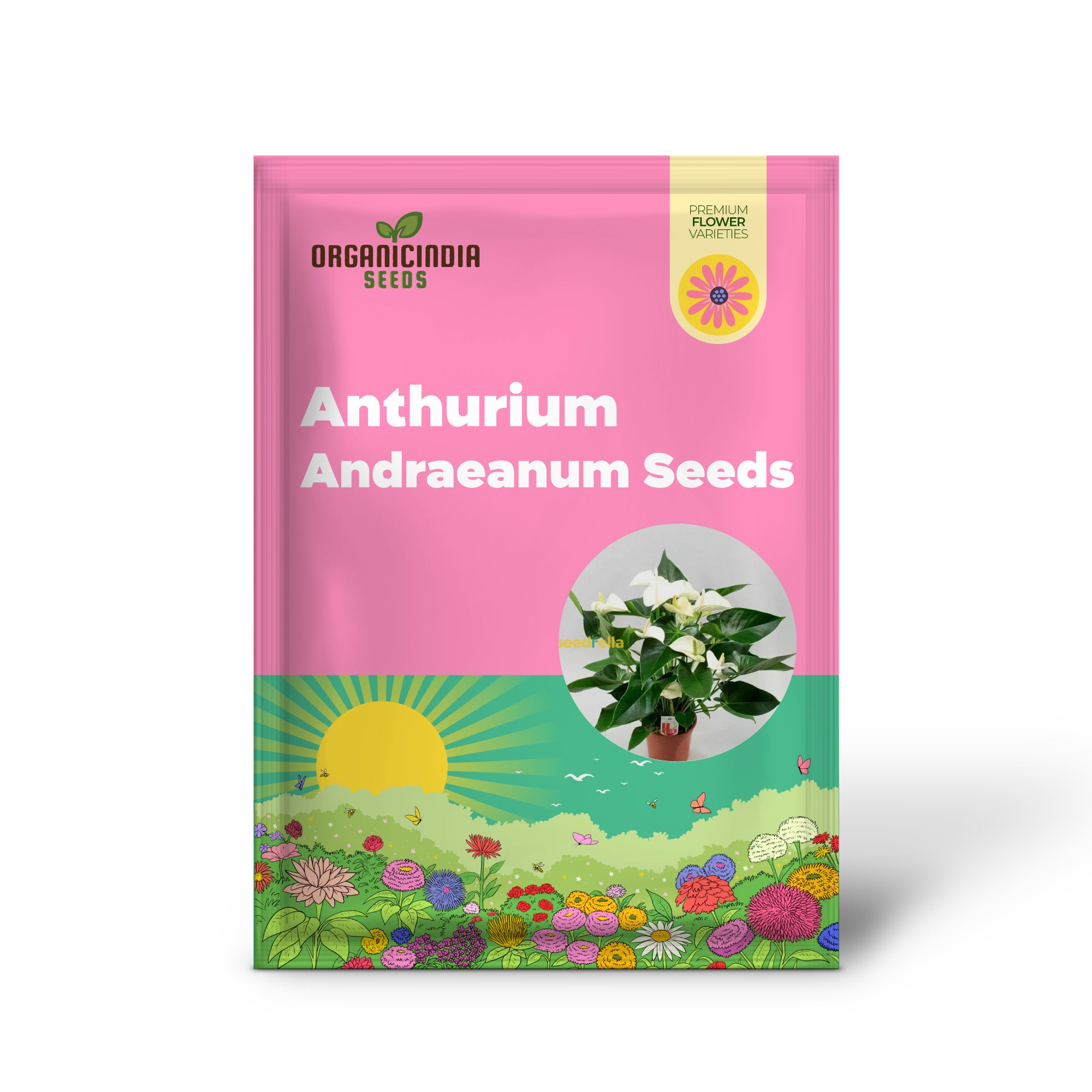 White Anthurium Seeds for Decorative Home Gardening