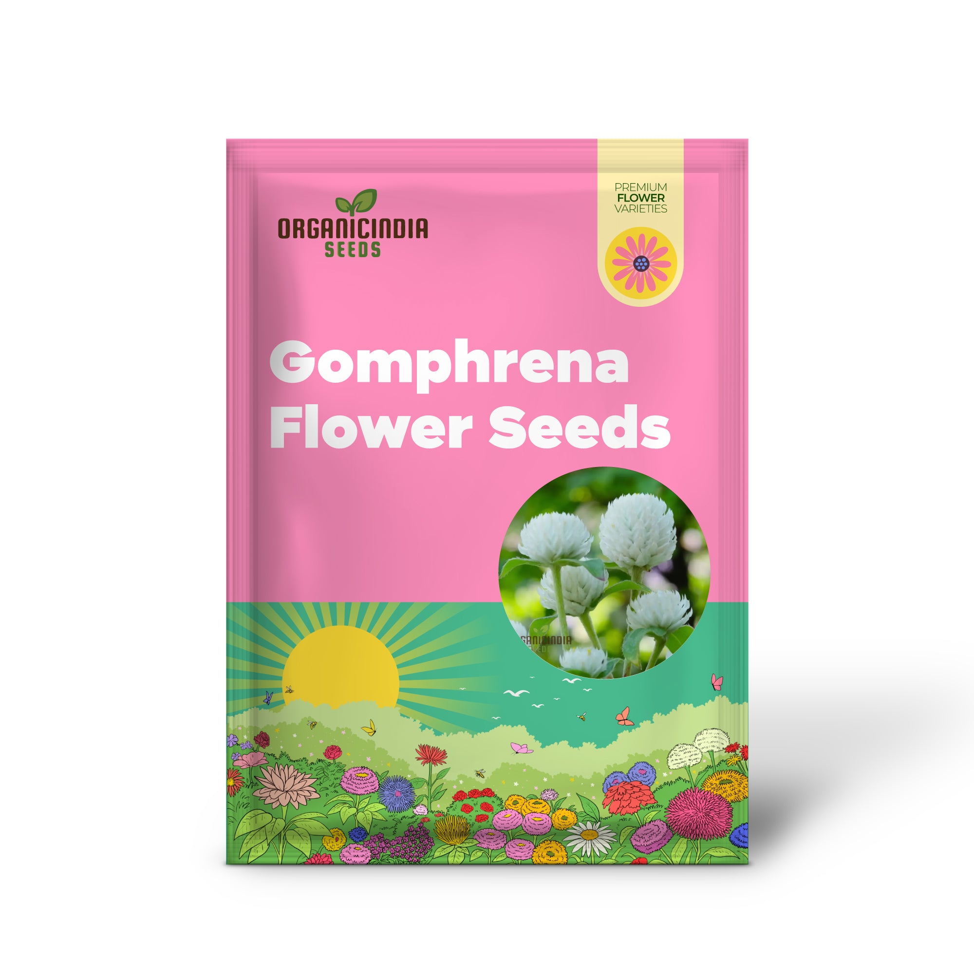 White Globe Amaranth Seeds for Stunning Garden Blooms