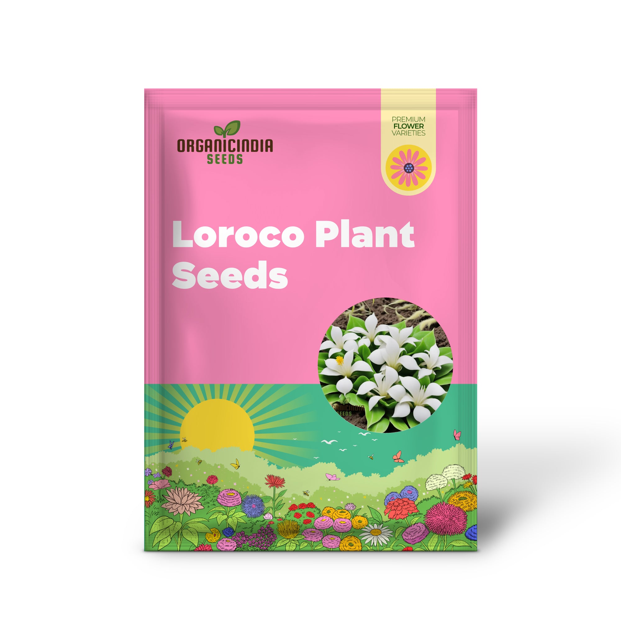 White Loroco flower seeds blooming on vine