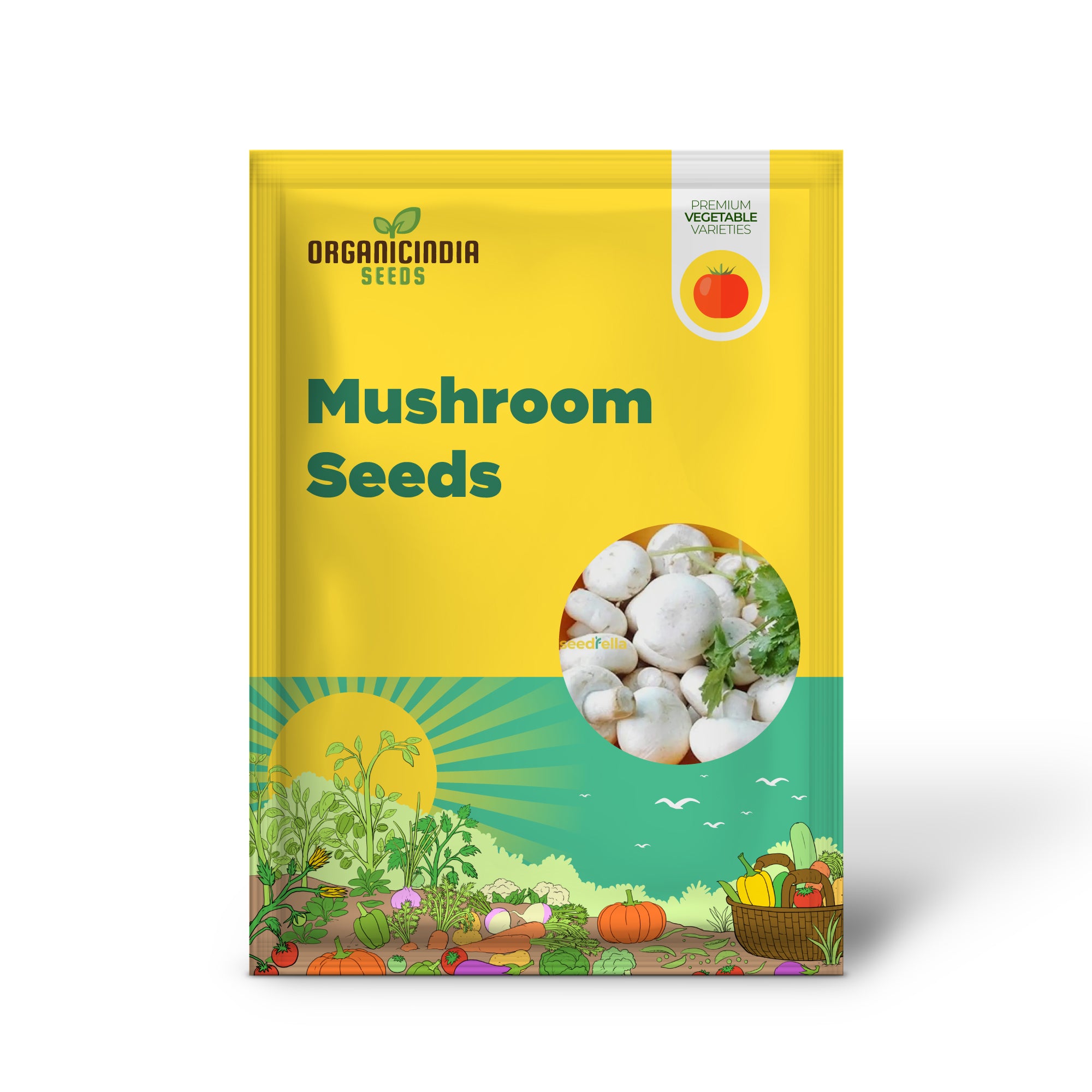 White Mushroom Mycelium Seedling Growing at Home, Fresh Mushroom Seeds