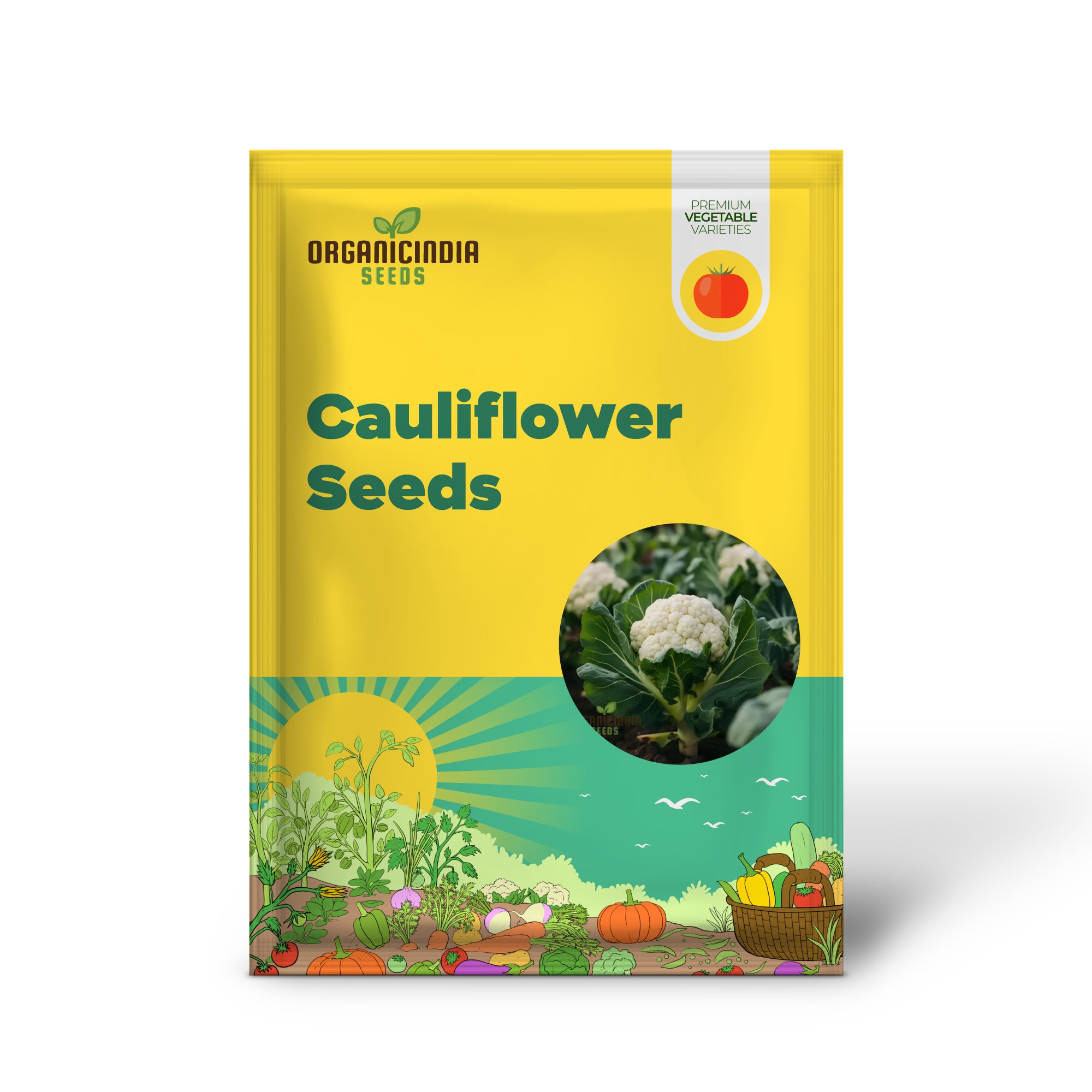 Cauliflower Seedling for Home Garden, Easy-to-Grow White Organic Vegetable Seeds