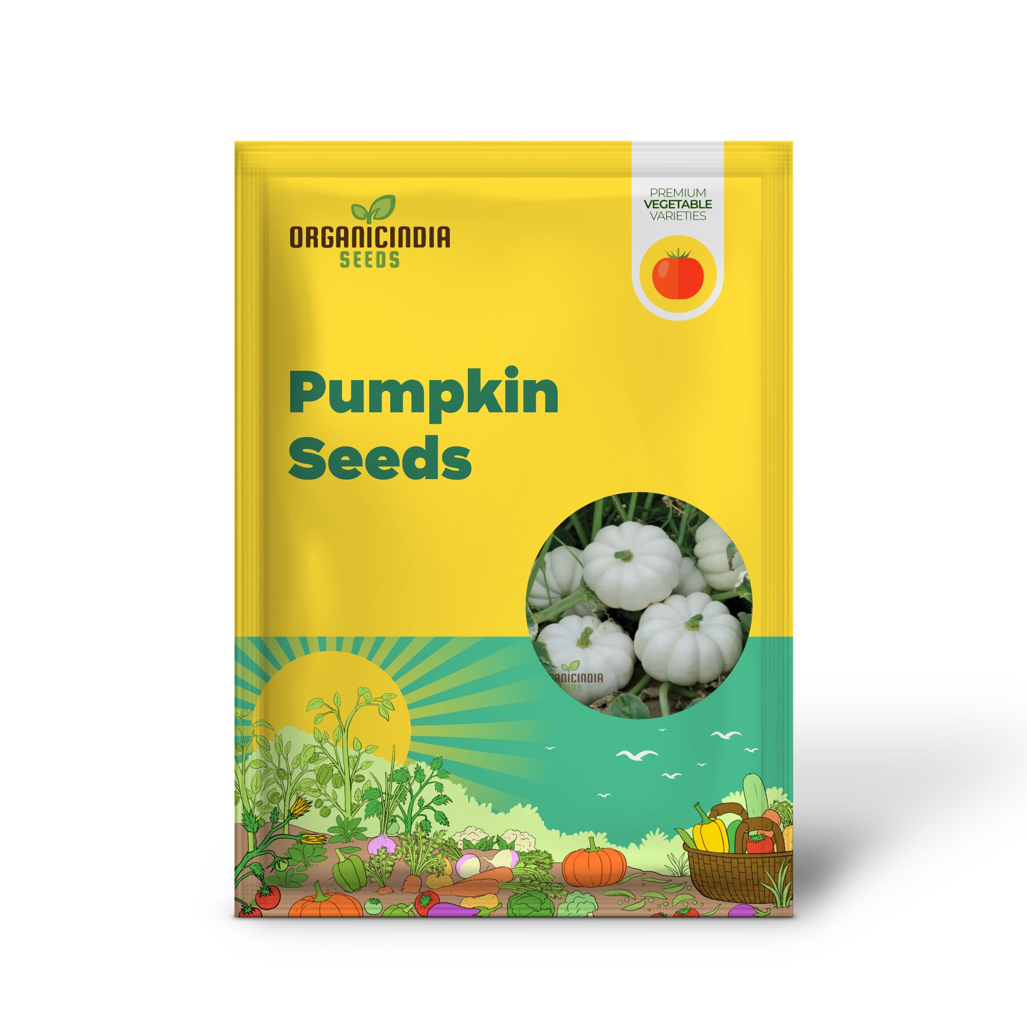 White Pumpkin Seeds Germinating in Soil, Easy-to-Grow Vegetable Seeds