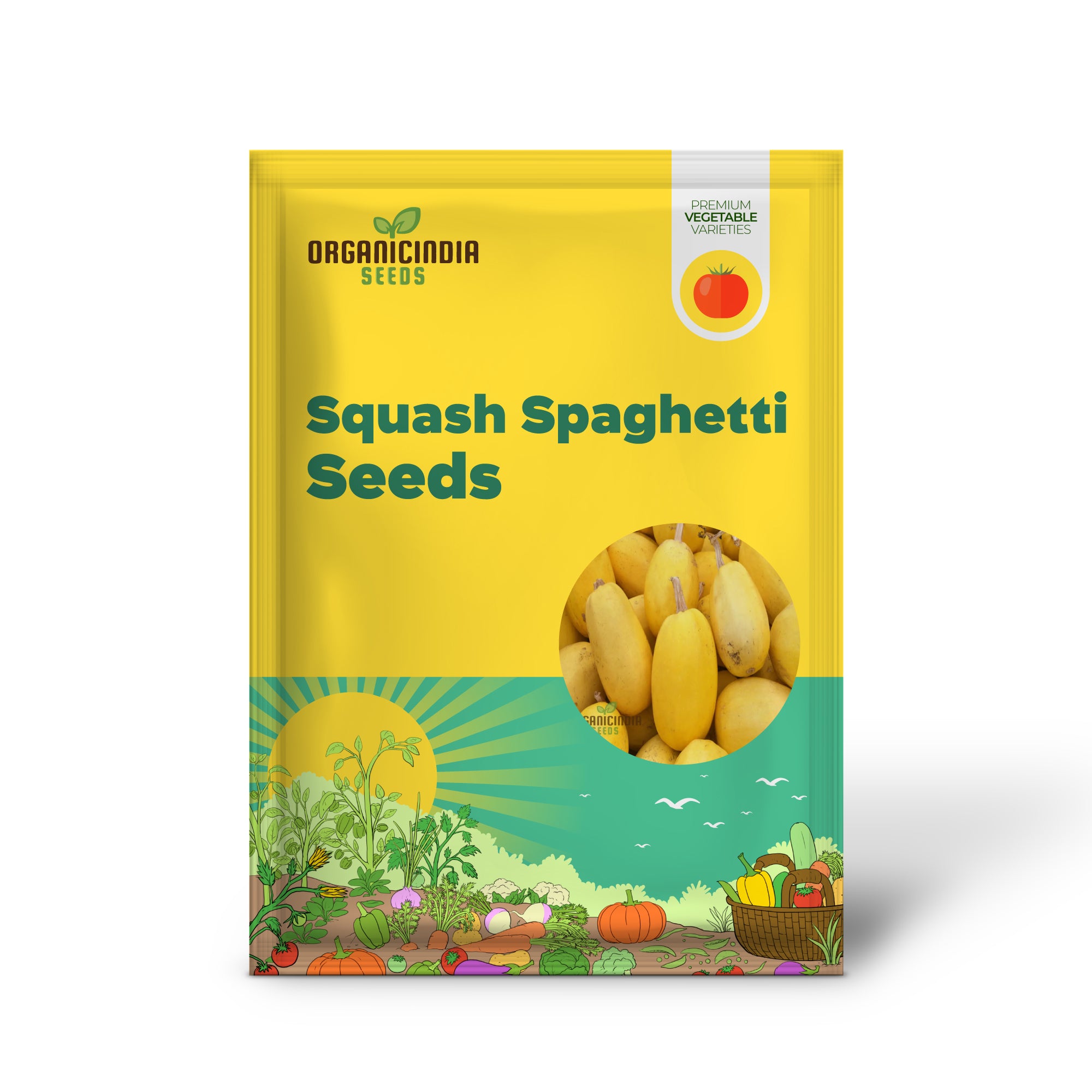 Spaghetti Winter Squash Seedling, Easy-to-Grow Heirloom Vegetable Plant
