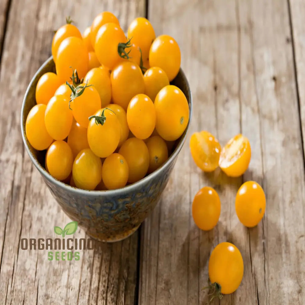 Yellow Cherry Tomato Plant Growing in Container from Seeds, Ideal for Small Spaces