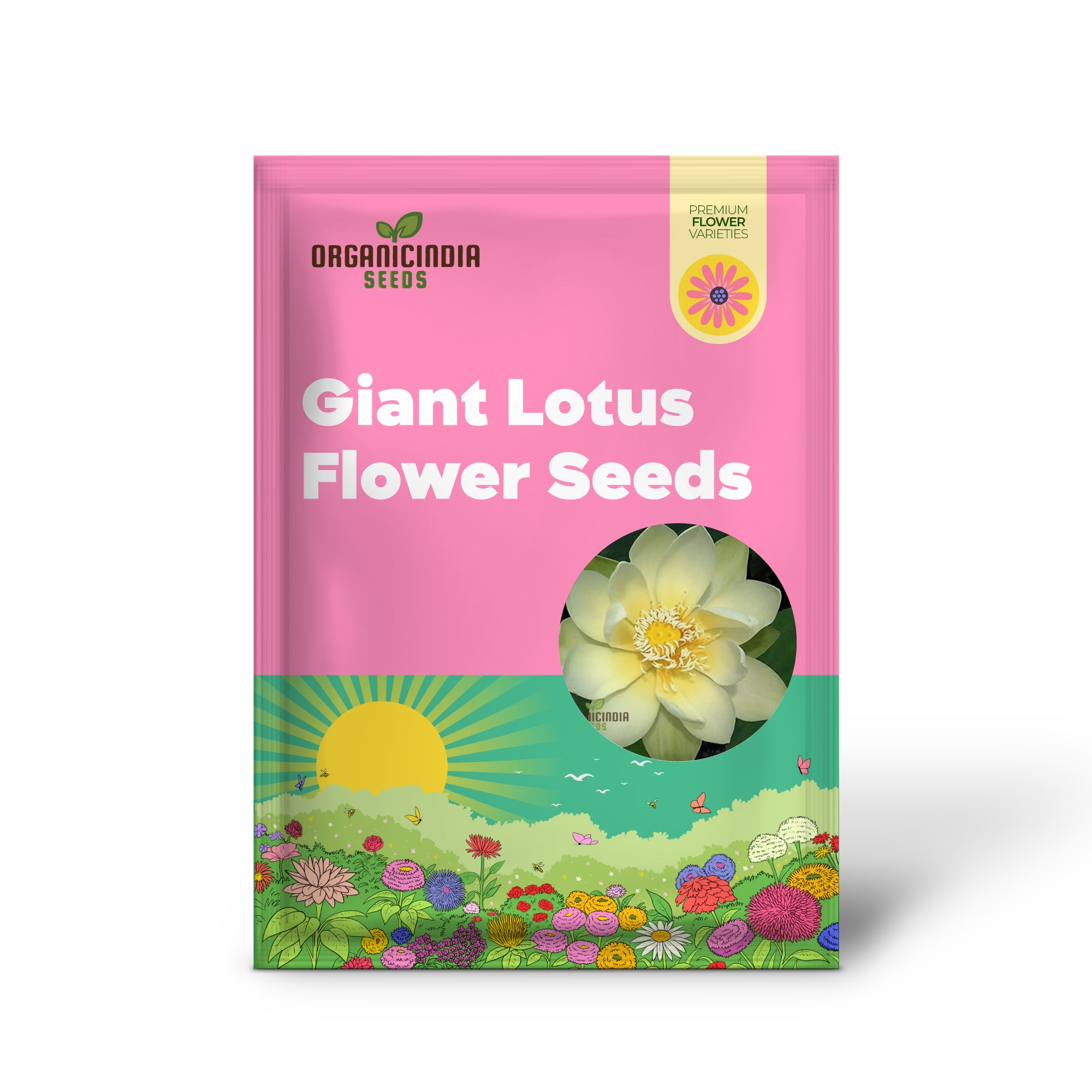 Yellow lotus flower seeds for ponds and water gardens